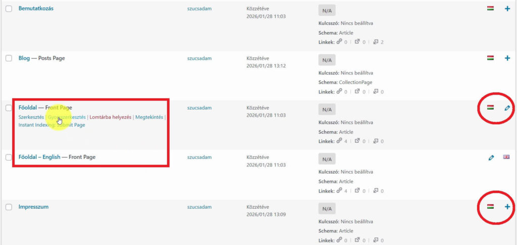Polylang felület két nyelvű weboldalnál